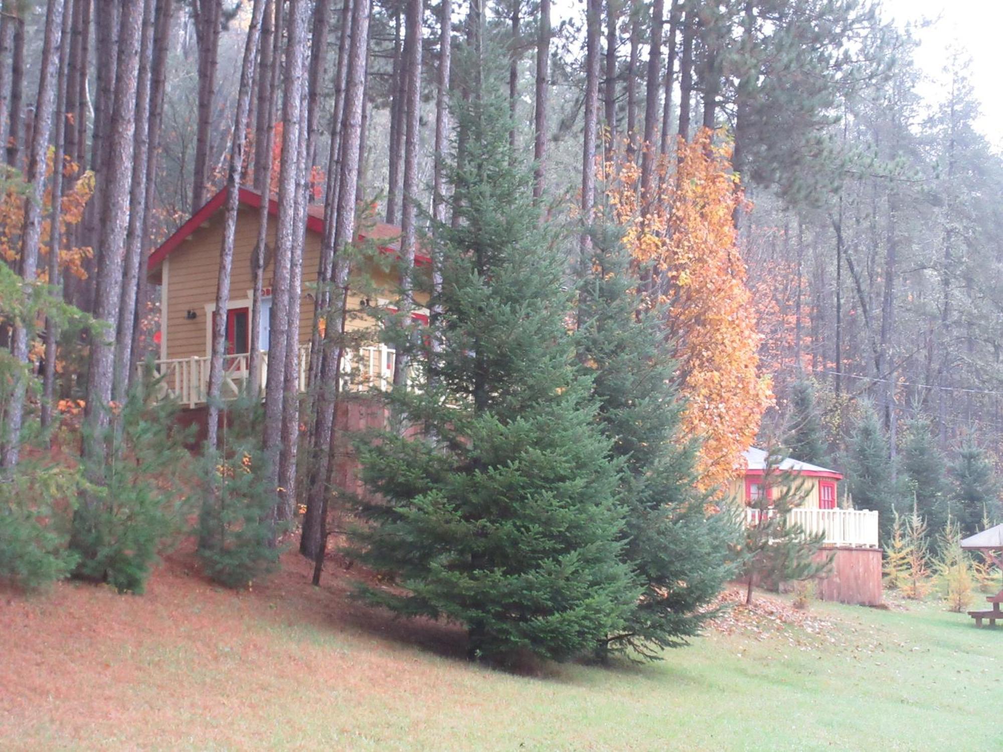 La Maison Sous Les Arbres Saint Roch de Mekinac Bagian luar foto