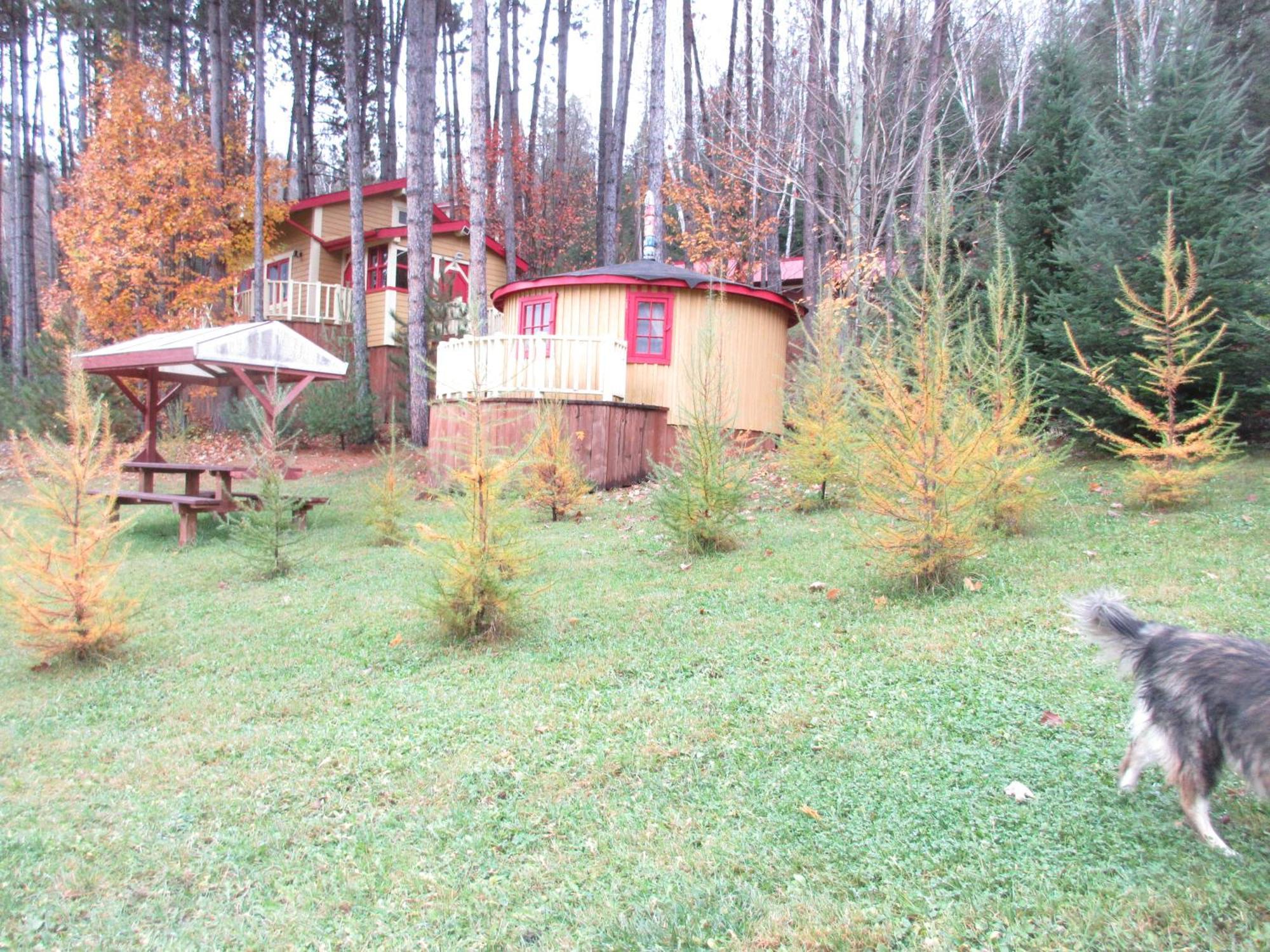 La Maison Sous Les Arbres Saint Roch de Mekinac Bagian luar foto