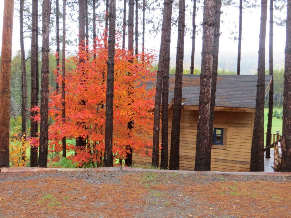 La Maison Sous Les Arbres Saint Roch de Mekinac Bagian luar foto