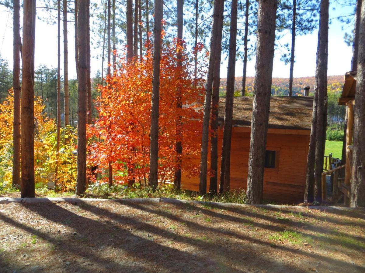 La Maison Sous Les Arbres Saint Roch de Mekinac Bagian luar foto