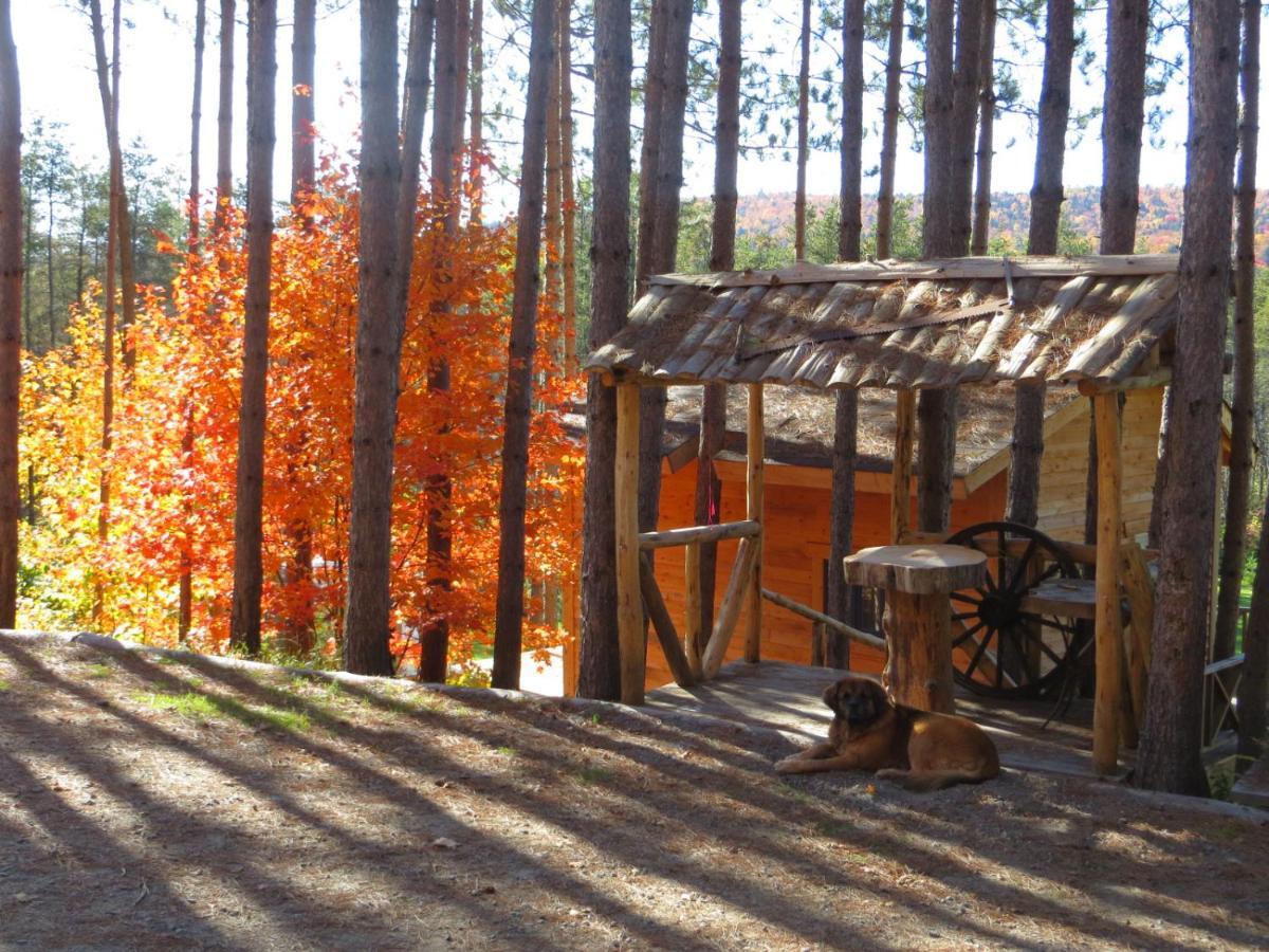 La Maison Sous Les Arbres Saint Roch de Mekinac Bagian luar foto